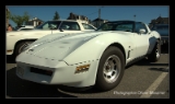 Chevrolet Corvette 1980.DNG